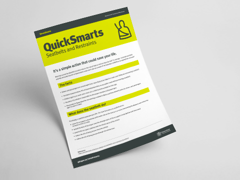 Thumbnail of Seatbelts and restraints - A4 fact sheet