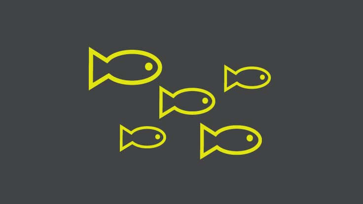 An animated image of multiple fish