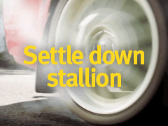 Spinning tyres with a message 'Settle down stallion'